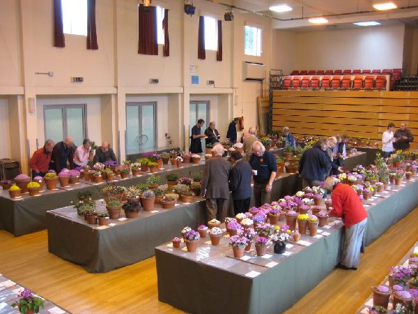 Loughborough AGS Show, 2008