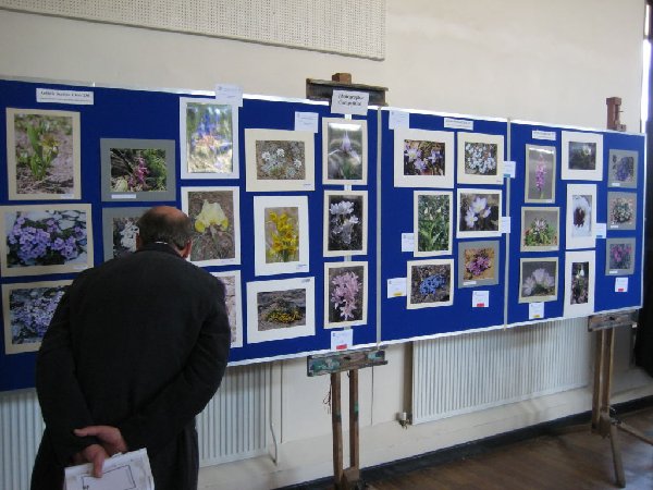 Photographic Section, Summer South 2008