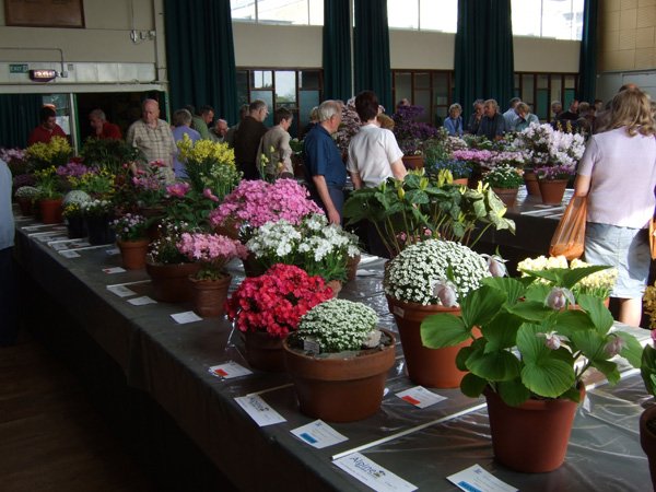 Midland AGS Show, 2007