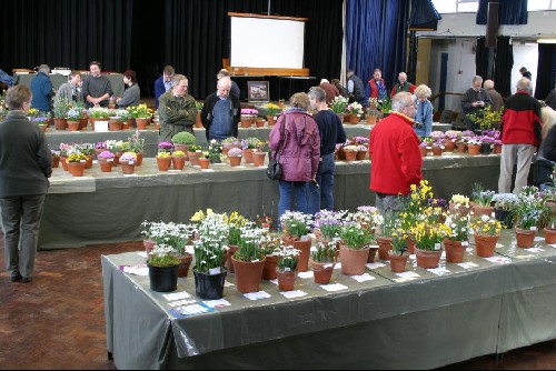 South Wales Show 2005