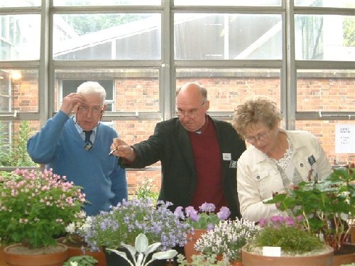 Judging at Dublin, 2005