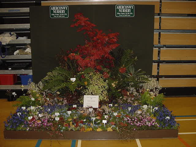 Display of Alpines showing Autumn colour