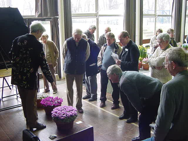 Choosing the Farrer Medal plant