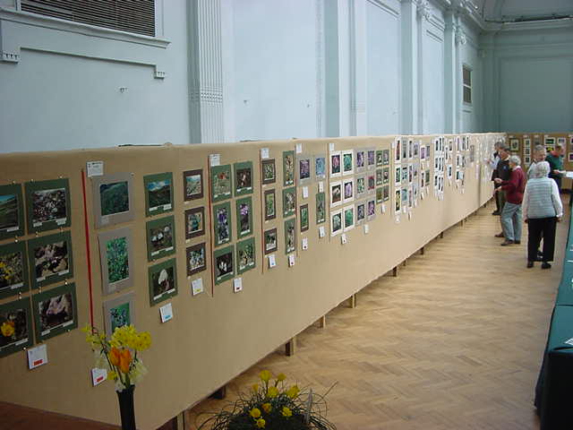 View of the Artistic Section