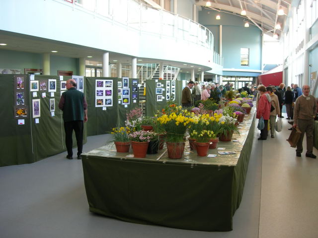 The show hall, with the Artistic Section
