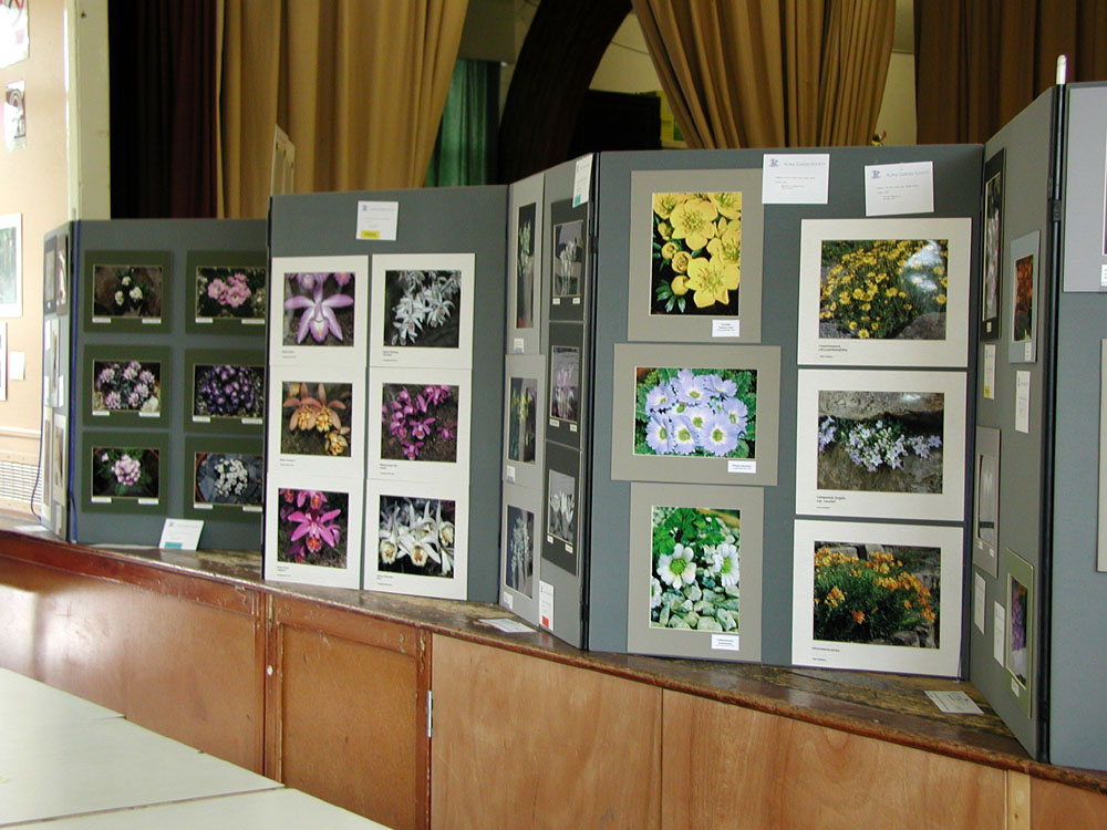 Photographic Section of the show