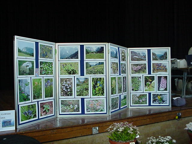 Photographs - Mountain Flowers of Slovenia