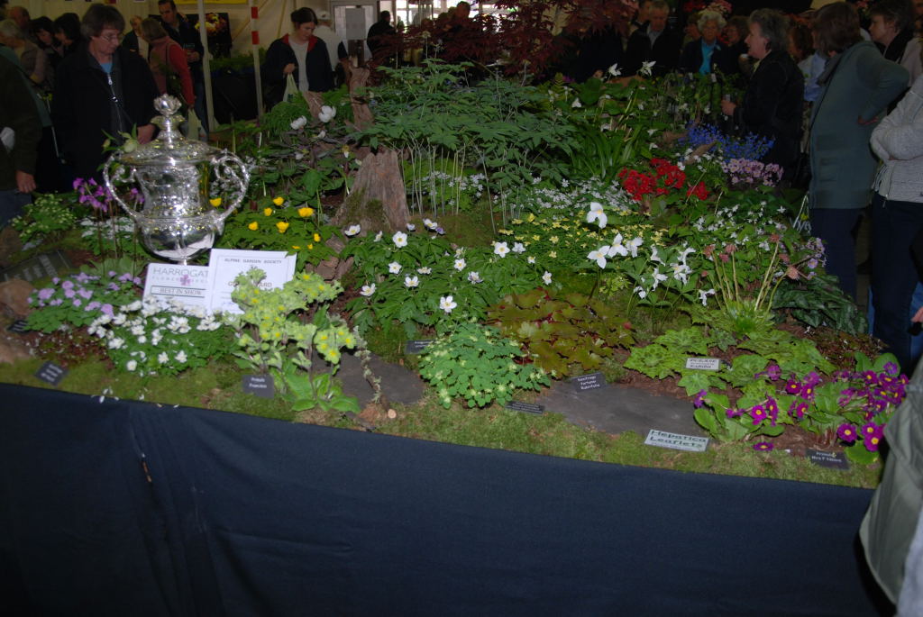 Display of Woodland Plants