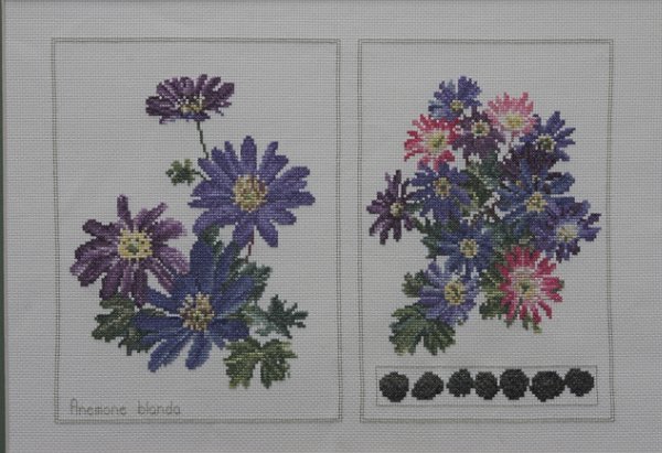 Embroidery: Anemones