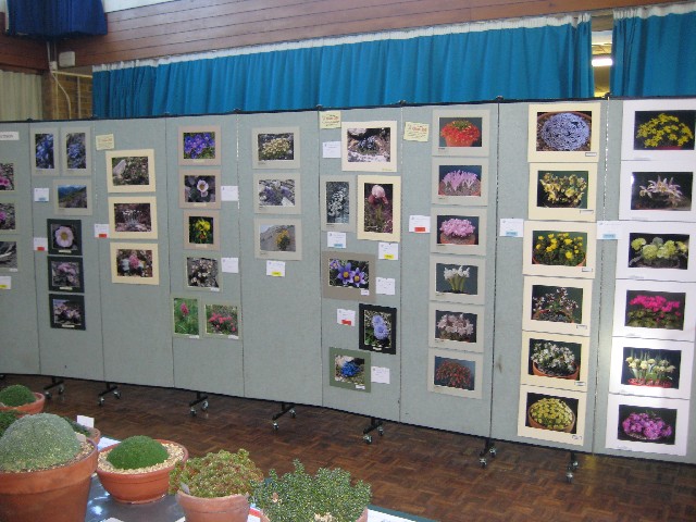 Artistic Section