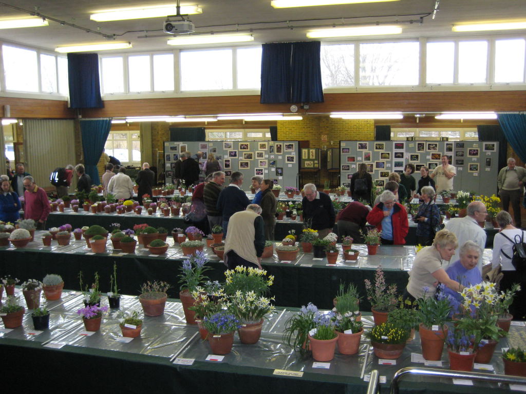 The plant show