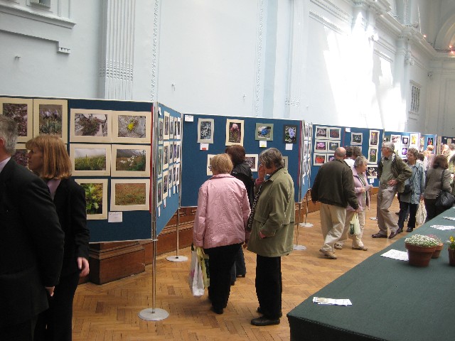 The Artistic Section