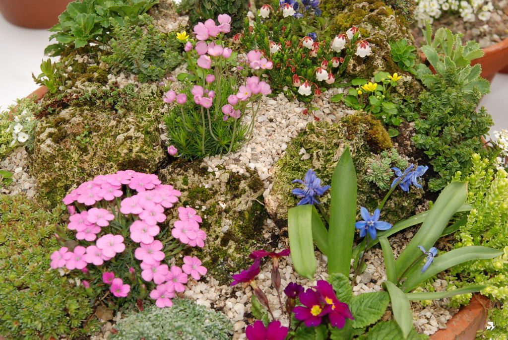 Miniature garden