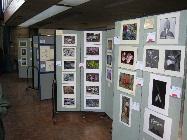 Artistic Section