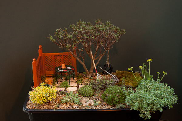 A miniature REAL Garden