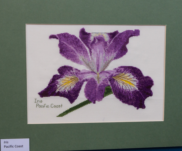 Iris 'Pacific Coast' (Embroidery)