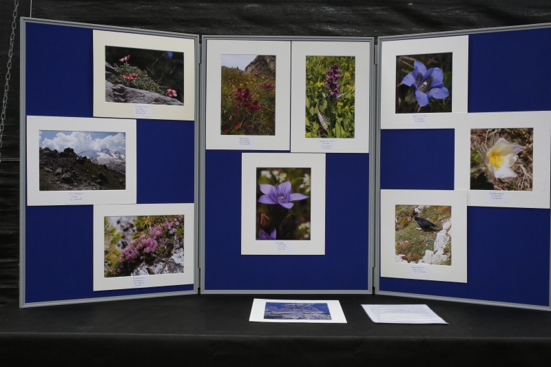 Display of Photos from the Dolomites