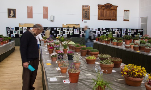View of Show and Photographic Competition