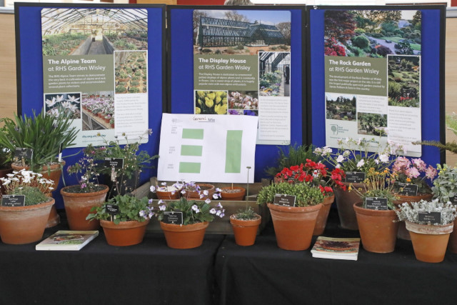 Display of Plants
