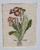 Needlework - Primula variabilis